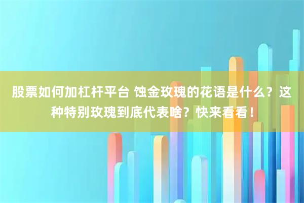 股票如何加杠杆平台 蚀金玫瑰的花语是什么？这种特别玫瑰到底代表啥？快来看看！
