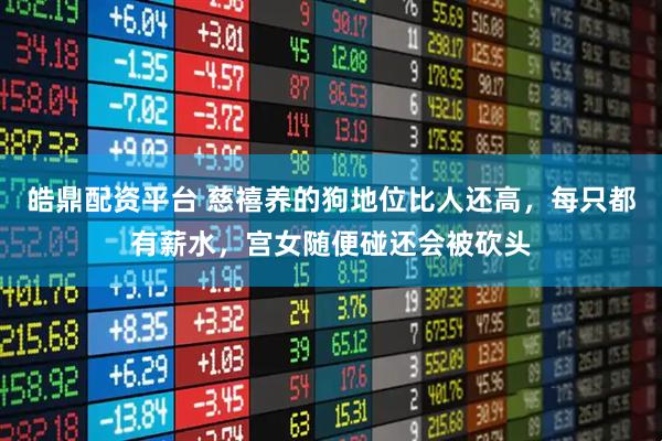 皓鼎配资平台 慈禧养的狗地位比人还高，每只都有薪水，宫女随便碰还会被砍头