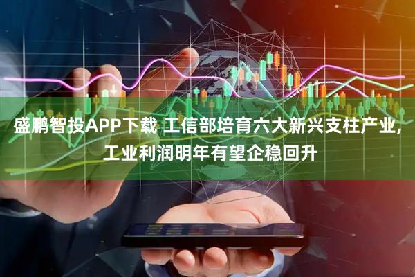 盛鹏智投APP下载 工信部培育六大新兴支柱产业, 工业利润明年有望企稳回升