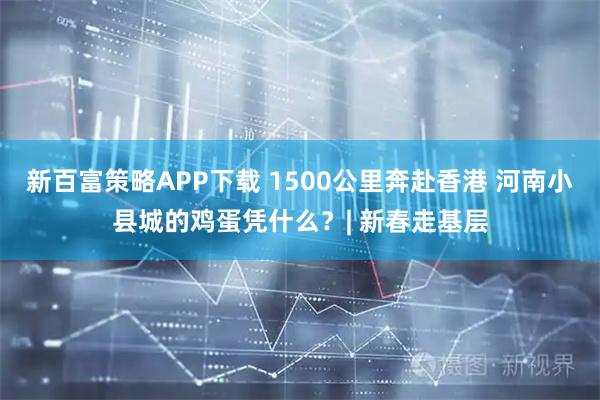 新百富策略APP下载 1500公里奔赴香港 河南小县城的鸡蛋凭什么？| 新春走基层