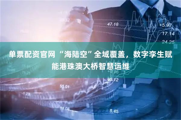 单票配资官网 “海陆空”全域覆盖，数字孪生赋能港珠澳大桥智慧运维